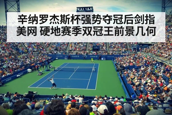 辛纳罗杰斯杯强势夺冠后剑指美网 硬地赛季双冠王前景几何